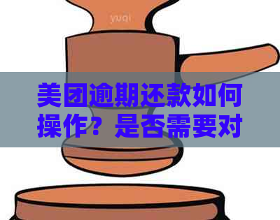 美团逾期还款如何操作？是否需要对公账户？安全性如何保障？