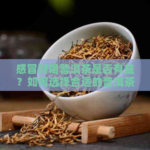 感冒时喝普洱茶是否有益？如何选择合适的普洱茶品种？