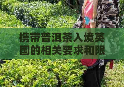 携带普洱茶入境英国的相关要求和限制：如何合法携带茶叶进入英国？