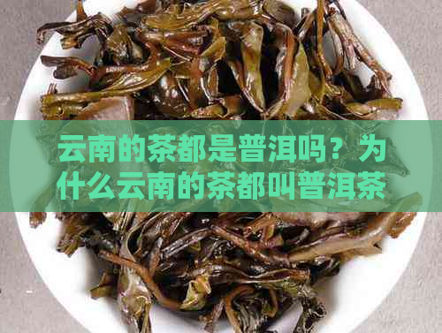 云南的茶都是普洱吗？为什么云南的茶都叫普洱茶？