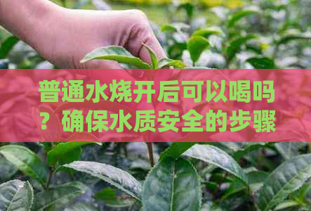 普通水烧开后可以喝吗？确保水质安全的步骤与方法