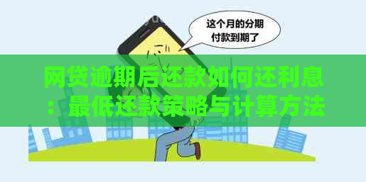 网贷逾期后还款如何还利息：更低还款策略与计算方法