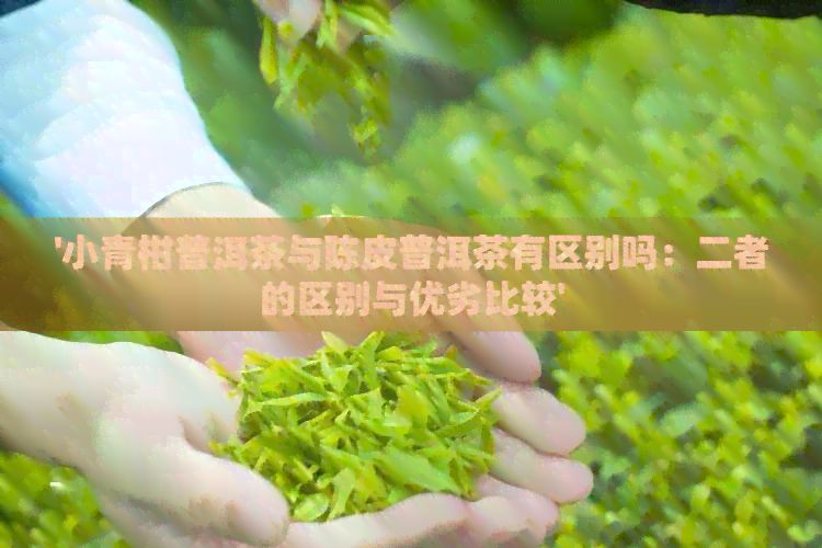 '小青柑普洱茶与陈皮普洱茶有区别吗：二者的区别与优劣比较'