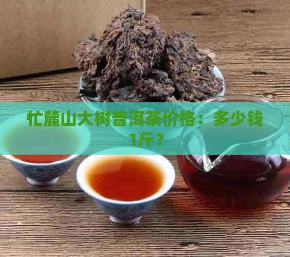 忙麓山大树普洱茶价格：多少钱1斤？