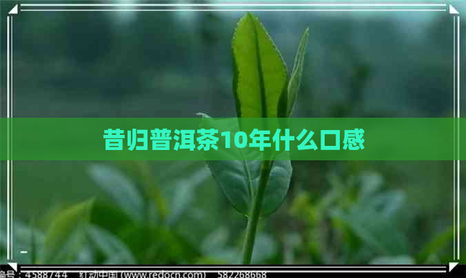 昔归普洱茶10年什么口感