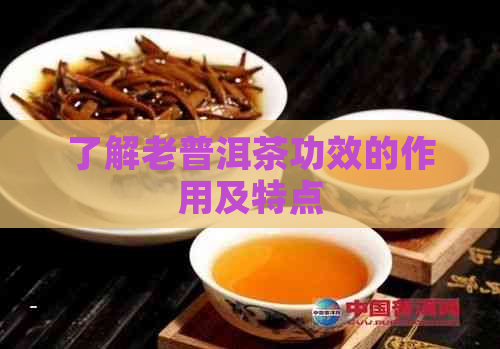 了解老普洱茶功效的作用及特点