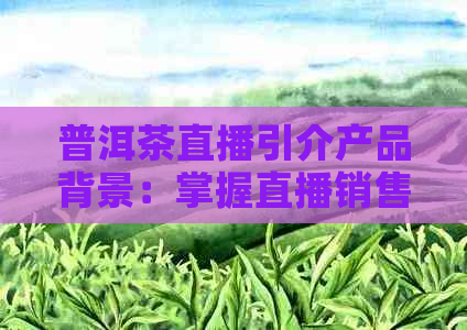 普洱茶直播引介产品背景：掌握直播销售新趋势！