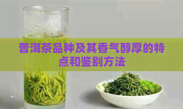 普洱茶品种及其香气醇厚的特点和鉴别方法