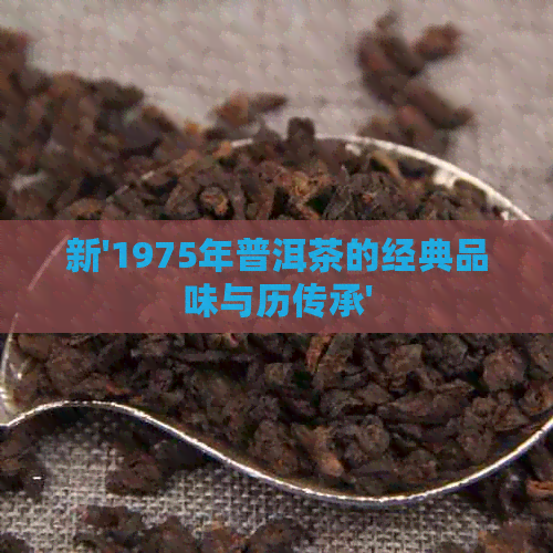 新'1975年普洱茶的经典品味与历传承'