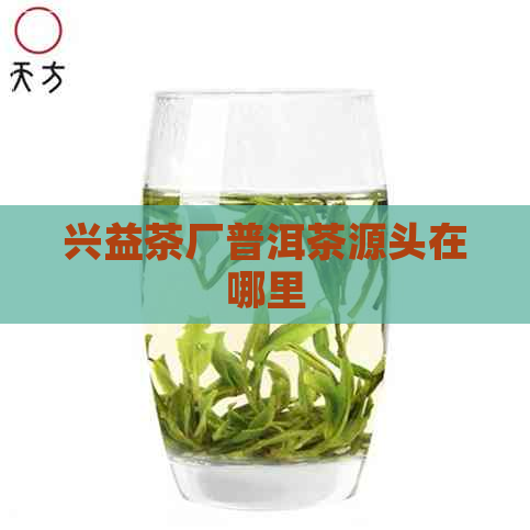 兴益茶厂普洱茶源头在哪里