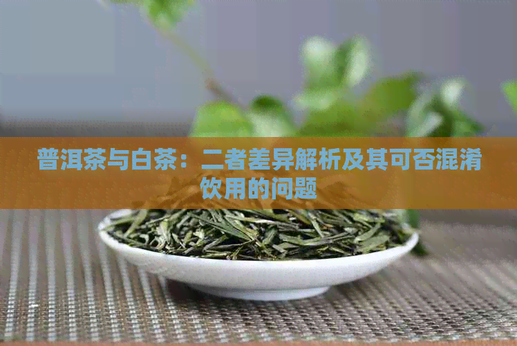 普洱茶与白茶：二者差异解析及其可否混淆饮用的问题