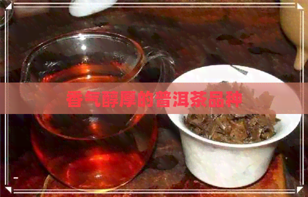 香气醇厚的普洱茶品种