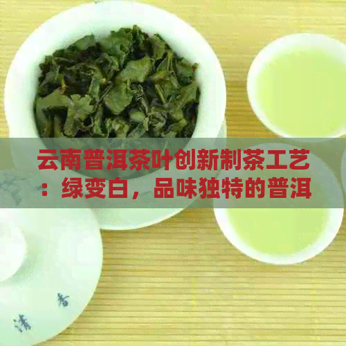 云南普洱茶叶创新制茶工艺：绿变白，品味独特的普洱白茶