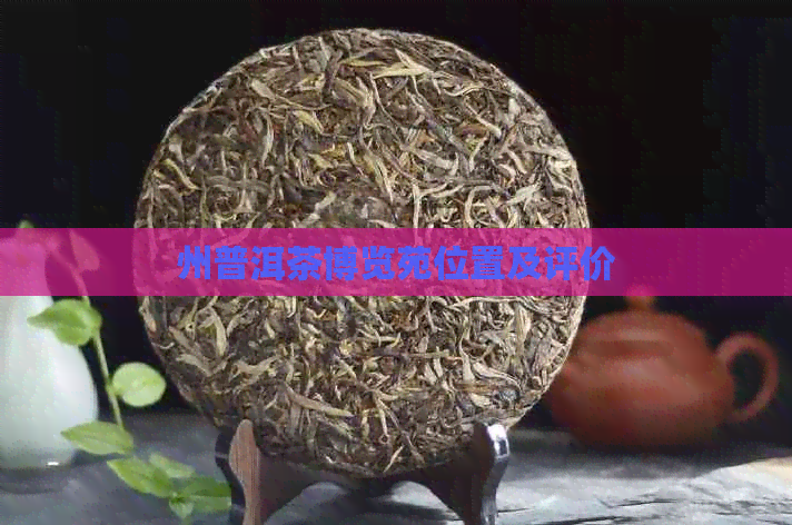 州普洱茶博览苑位置及评价