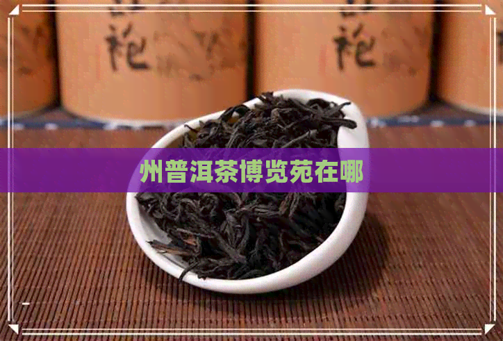 州普洱茶博览苑在哪