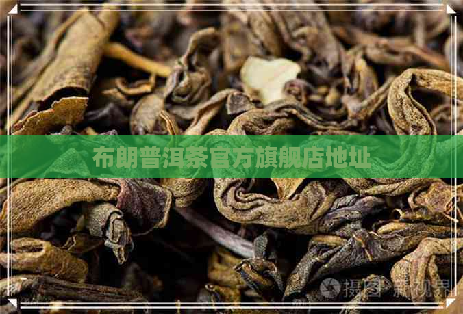 布朗普洱茶官方旗舰店地址