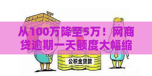 从100万降至5万！网商贷逾期一天额度大幅缩减，正常吗？