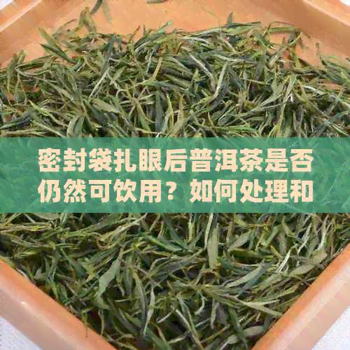 密封袋扎眼后普洱茶是否仍然可饮用？如何处理和保存？