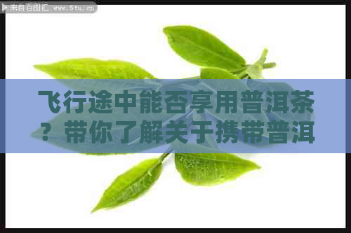 飞行途中能否享用普洱茶？带你了解关于携带普洱茶上飞机的规定