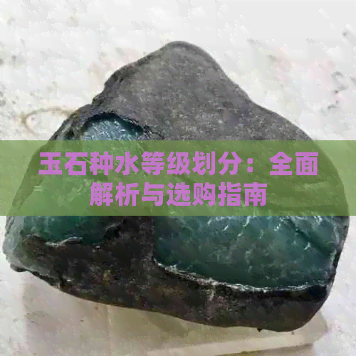 玉石种水等级划分：全面解析与选购指南