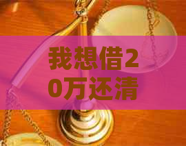 我想借20万还清所有信用卡债务，是否合适？