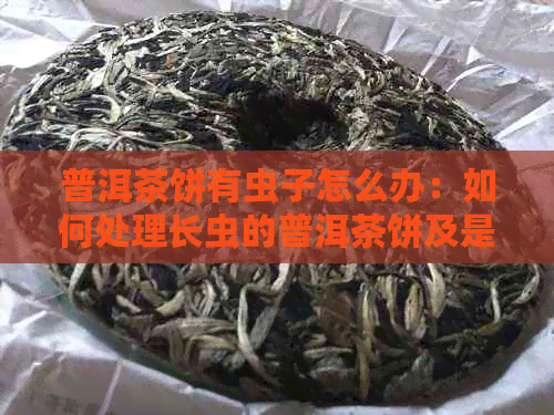 普洱茶饼有虫子怎么办：如何处理长虫的普洱茶饼及是否可饮用