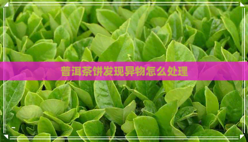 普洱茶饼发现异物怎么处理