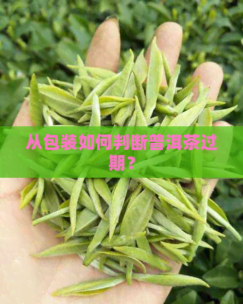 从包装如何判断普洱茶过期？