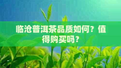 临沧普洱茶品质如何？值得购买吗？