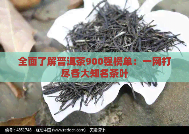 全面了解普洱茶900强榜单：一网打尽各大知名茶叶