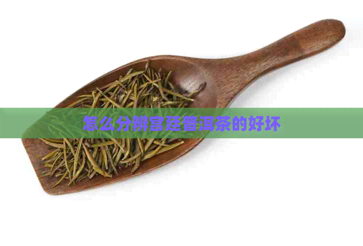 怎么分辨宫廷普洱茶的好坏