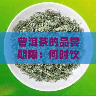 普洱茶的品尝期限：何时饮用效果？