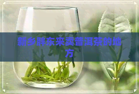 新乡胖东来卖普洱茶的地方