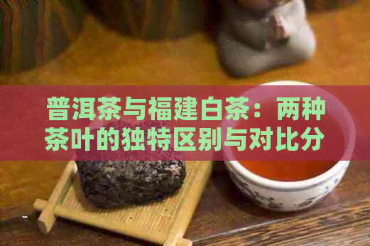 普洱茶与福建白茶：两种茶叶的独特区别与对比分析