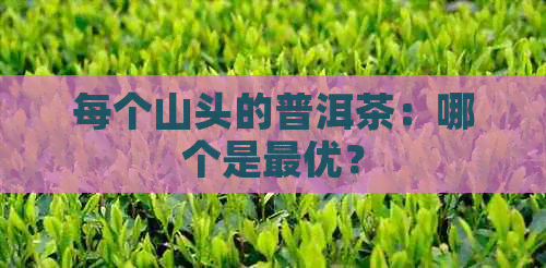 每个山头的普洱茶：哪个是更优？