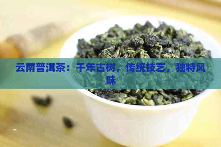 云南普洱茶：千年古树，传统技艺，独特风味