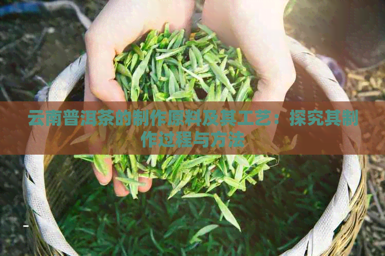 云南普洱茶的制作原料及其工艺：探究其制作过程与方法