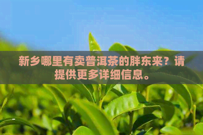 新乡哪里有卖普洱茶的胖东来？请提供更多详细信息。