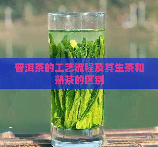 普洱茶的工艺流程及其生茶和熟茶的区别