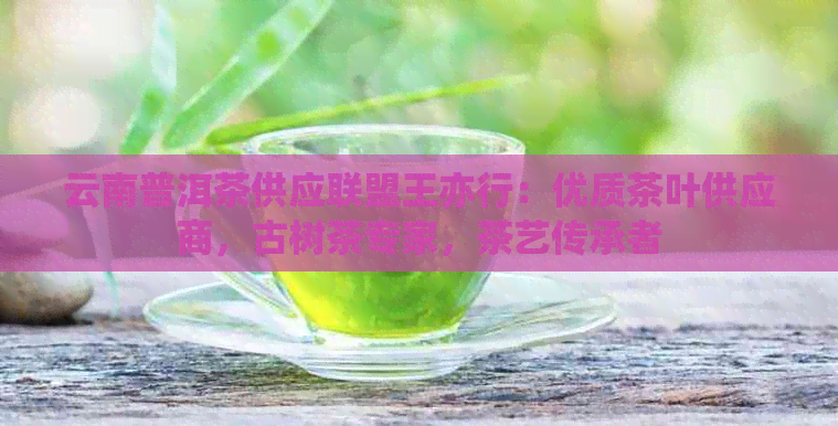 云南普洱茶供应联盟王亦行：优质茶叶供应商，古树茶专家，茶艺传承者