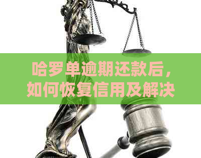 哈罗单逾期还款后，如何恢复信用及解决相关问题？