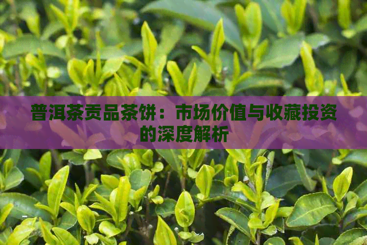 普洱茶贡品茶饼：市场价值与收藏投资的深度解析