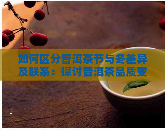 如何区分普洱茶节与冬差异及联系：探讨普洱茶品质变化的原因