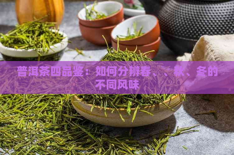 普洱茶四品鉴：如何分辨春、、秋、冬的不同风味