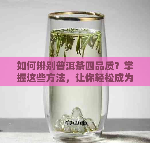 如何辨别普洱茶四品质？掌握这些方法，让你轻松成为普洱茶专家！