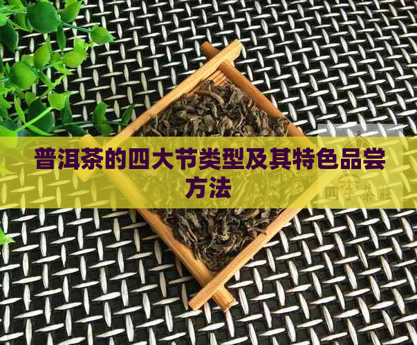 普洱茶的四大节类型及其特色品尝方法