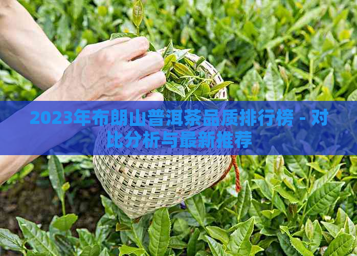 2023年布朗山普洱茶品质排行榜 - 对比分析与最新推荐