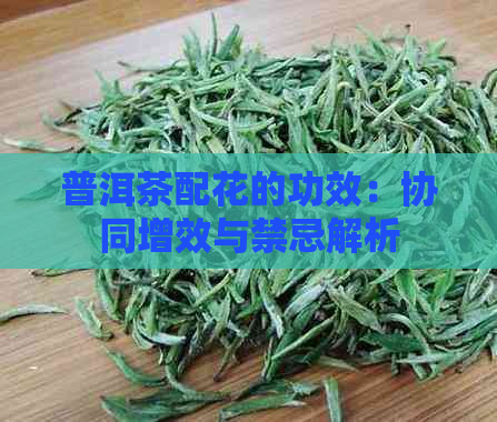 普洱茶配花的功效：协同增效与禁忌解析