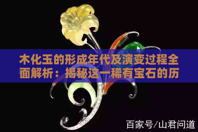 木化玉的形成年代及演变过程全面解析：揭秘这一稀有宝石的历史与科学价值