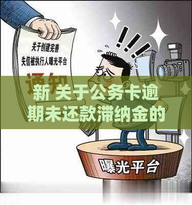 新 关于公务卡逾期未还款滞纳金的凭证要求及相关政策解析